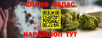 дмт Ярославль